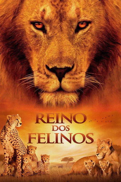 Poster do Filme Reino dos Felinos
