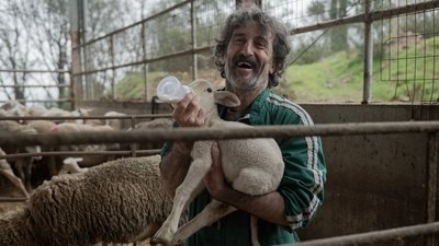 Animal (2025)