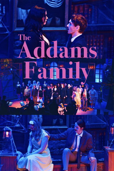 Poster do Filme The Addams Family