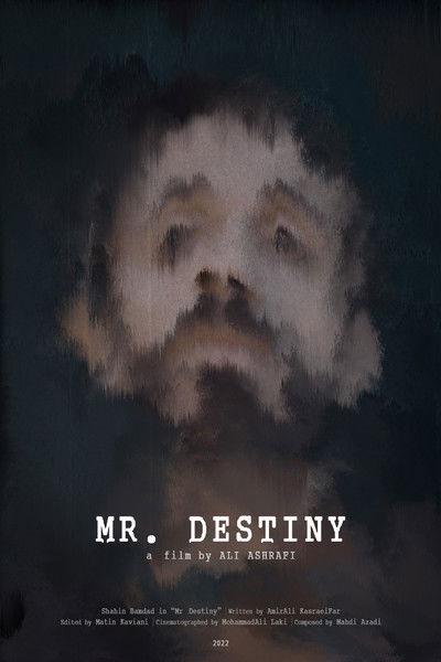Poster do Filme Mr Destiny