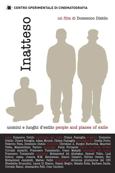 Poster do Filme Inatteso