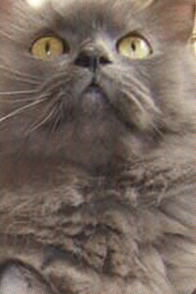 Imagem de Monstro Cat