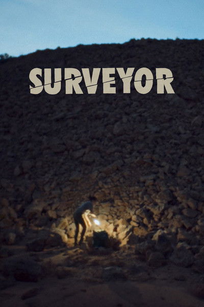 Poster do Filme Surveyor