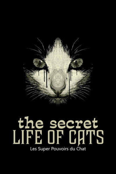 Les Super Pouvoirs du chat