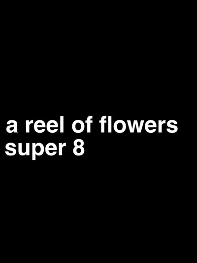 Poster do Filme a reel of flowers, super 8