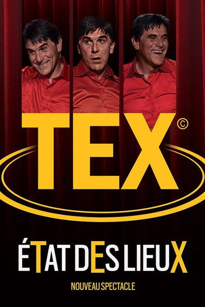 Poster do Filme Tex - Etat des lieux