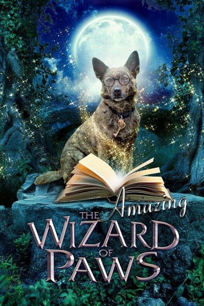 Poster for the movie The Amazing Wizard of Paws