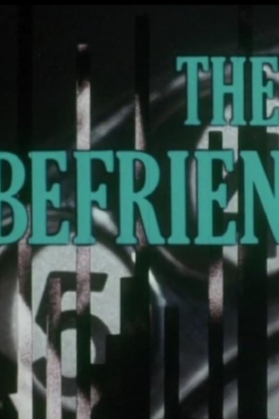 poster for The Befrienders