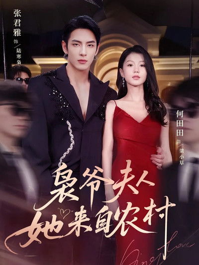 poster for 枭爷夫人她来自农村