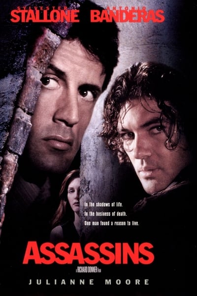 Assassins (1995)