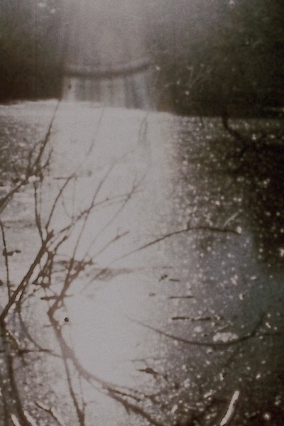 movie poster for Report from Millbrook