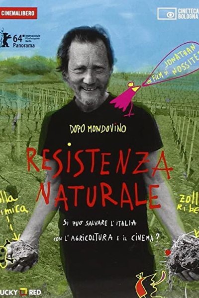 movie poster for Resistenza alsaziana