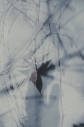 Poster do Filme 井荻の廃墟