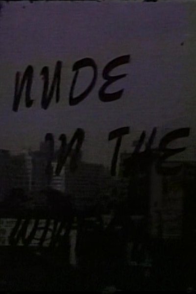 Poster do Filme Nude in the Window