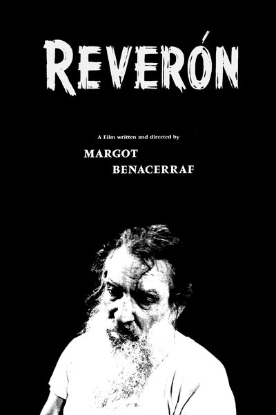 Poster for the movie Reverón