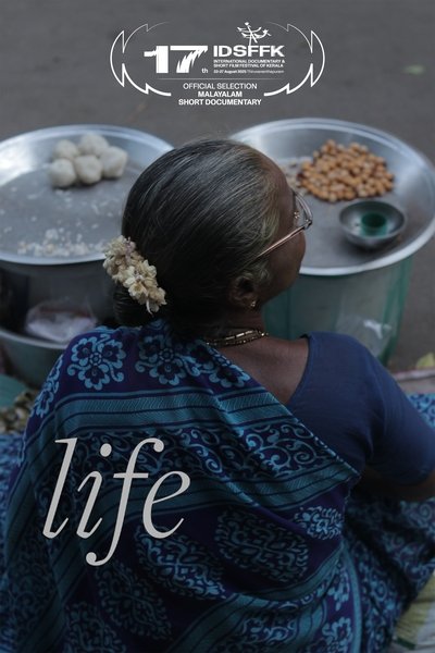 movie poster for Life