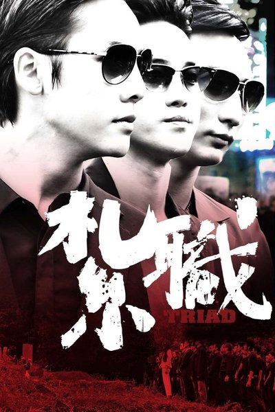 Poster for the movie Triad