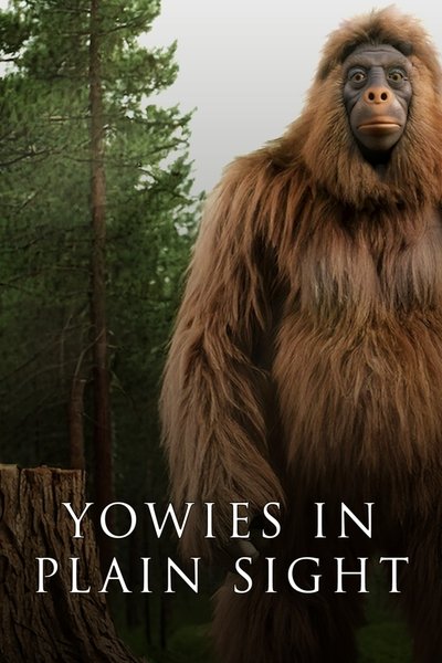 movie poster for Yowies in Plain Sight