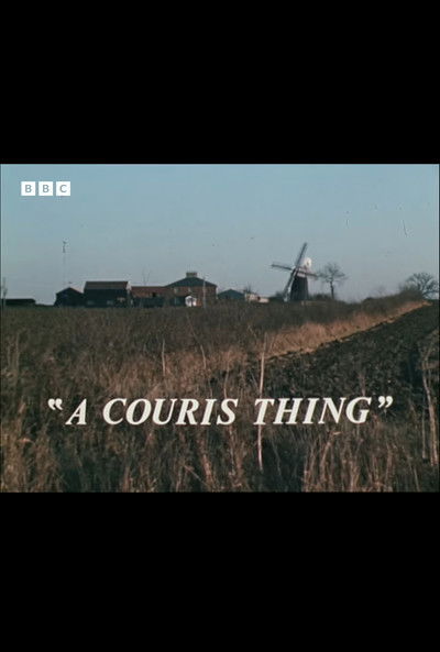 movie poster for A Couris Thing