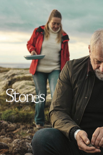 Poster do Filme Steinar