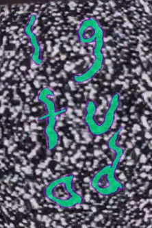 Poster do Filme LGFUAD