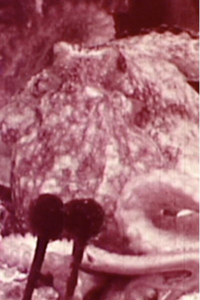 Poster do Filme Aurora Borealis