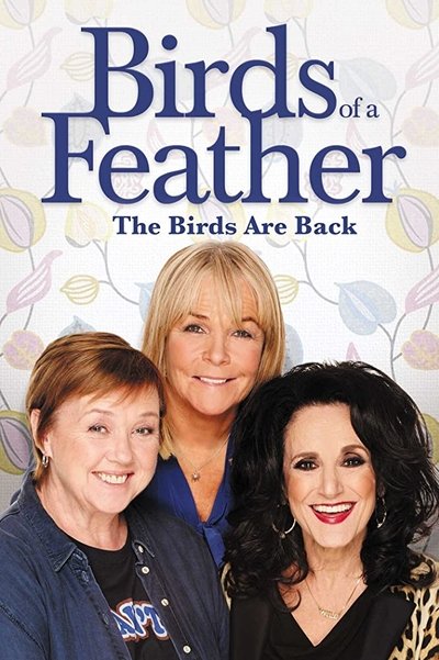 poster for Birds of a Feather