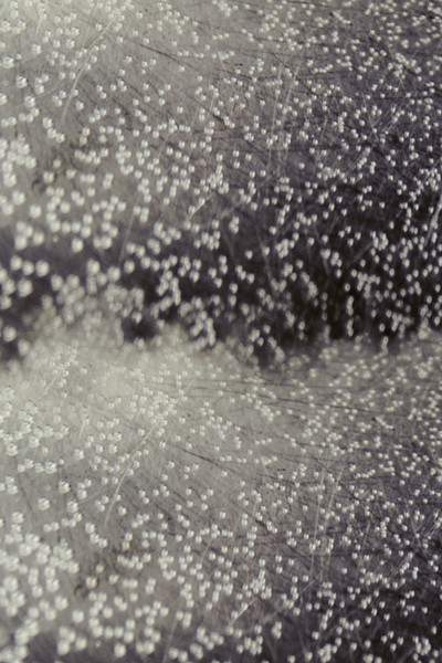 Poster do Filme State Change (I)