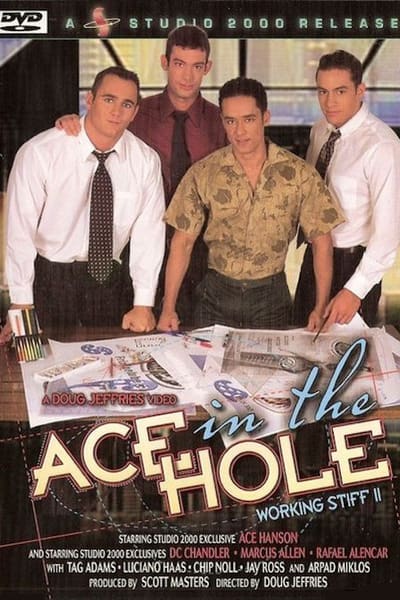 Ace in the Hole: Working Stiff 2