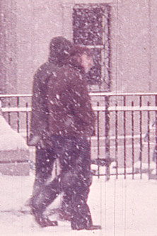 Poster do Filme City Pasture