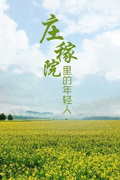 poster for 庄稼院里的年轻人
