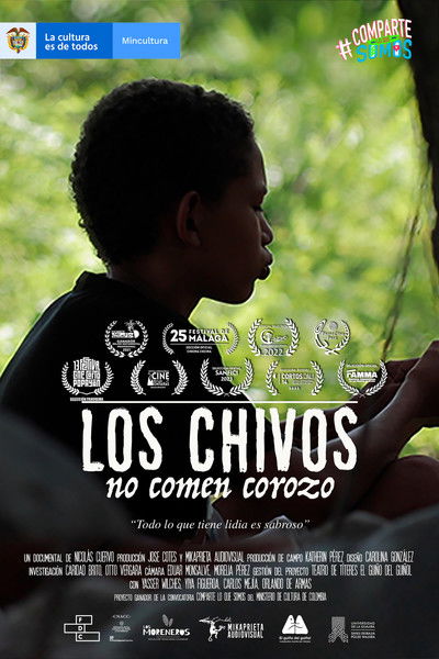 Poster do Filme Los chivos no comen corozo