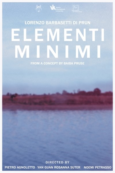 Poster do Filme Elementi Minimi