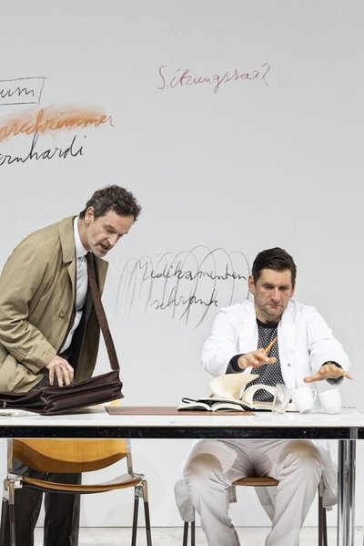 movie poster for Professor Bernhardi