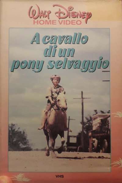 A Cavallo di un Pony Selvaggio