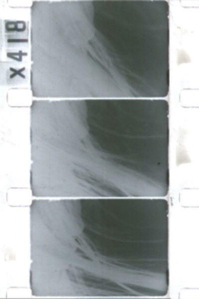 movie poster for (sans)(image)