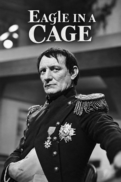 Eagle in a Cage