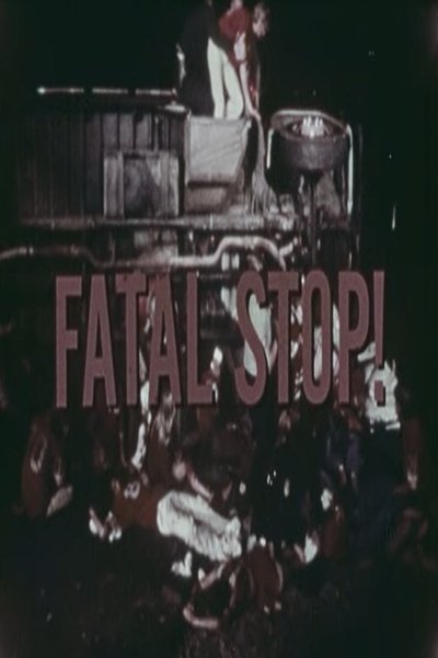 movie poster for Fatal Stop