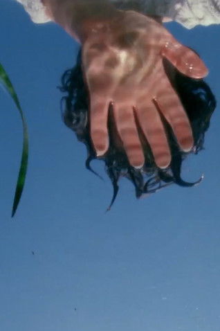 Poster do Filme Laws of Nature