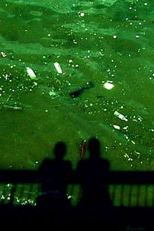 Poster do Filme Album