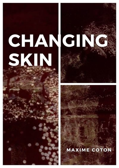 Poster do Filme Changer De Peau