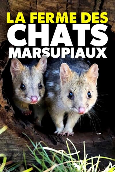 poster La ferme des chats marsupiaux - Un refuge en Tasmanie