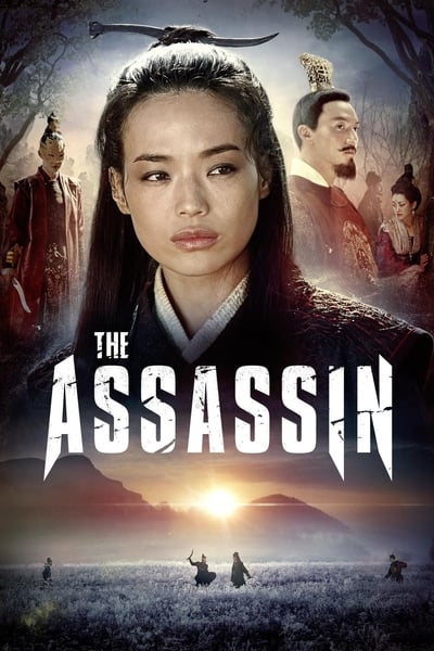 The Assassin (2015)