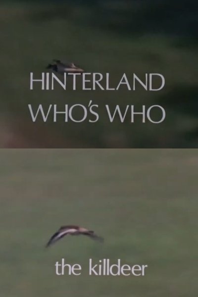 Poster do Filme Hinterland Who's Who: Killdeer