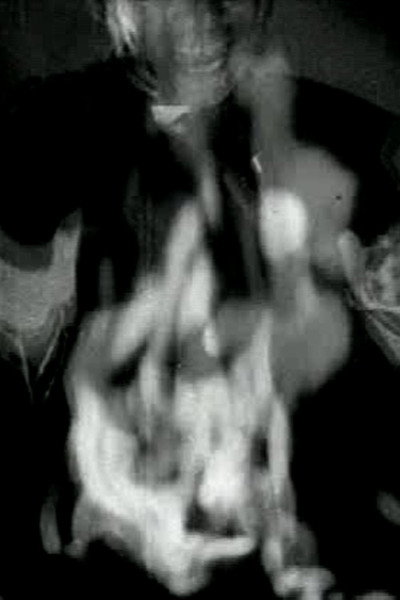 Poster do Filme Nightmares in Spring Chamber