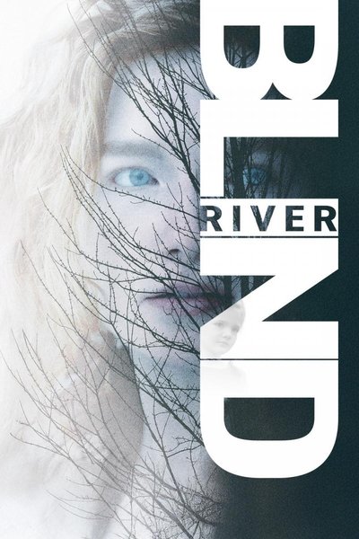 Poster do Filme Vanished Out of Sight