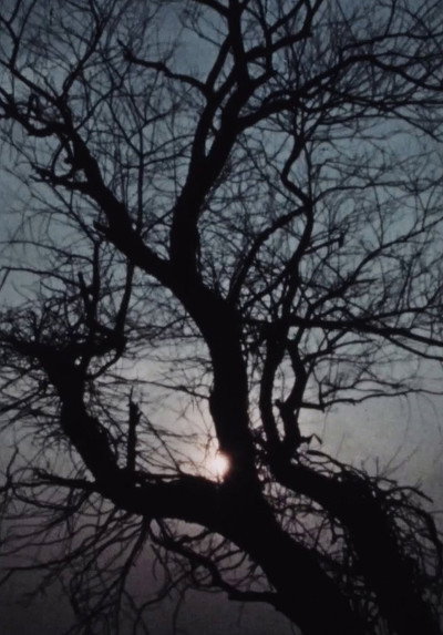 Poster do Filme Street Film Part VII