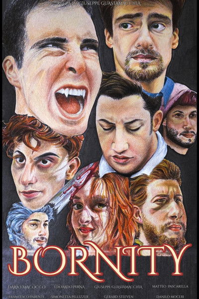Poster do Filme Bornity