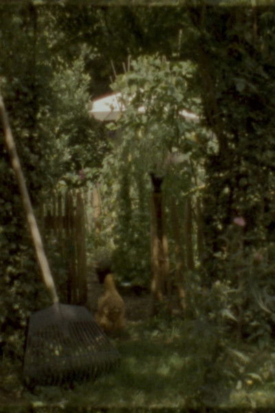 Poster do Filme Landscape as Landscape 18