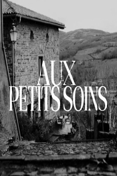 Poster do Filme Aux Petits Soins